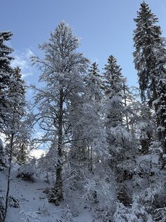 Fotografija s spletne strani Nikolas von Merveldt na poti