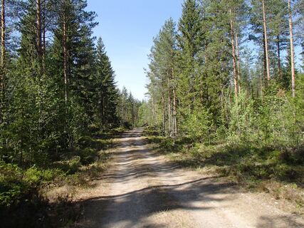 ROUTE DER GRENZEN, RAUTJÄRVI