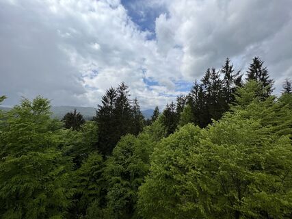 Photo de Volki F. le long du parcours