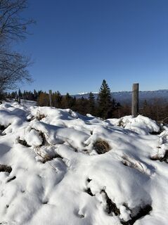 Fotografia z Reinhard Frewein na trase