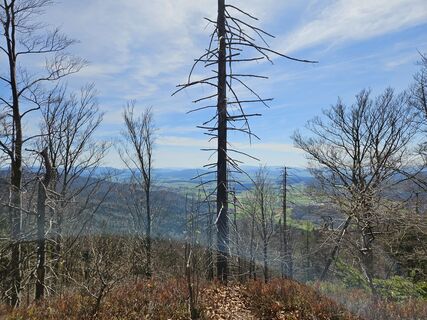 Foto von Preismarkus entlang der Tour