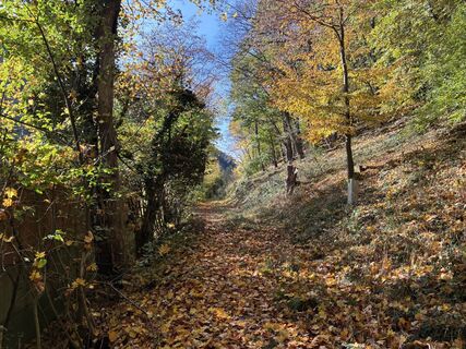 Photo de Martin1967 le long du parcours