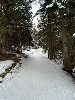 Foto von Michael Pink entlang der Tour