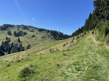 Foto von Marina I entlang der Tour