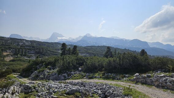 Foto da Werner lungo il tour