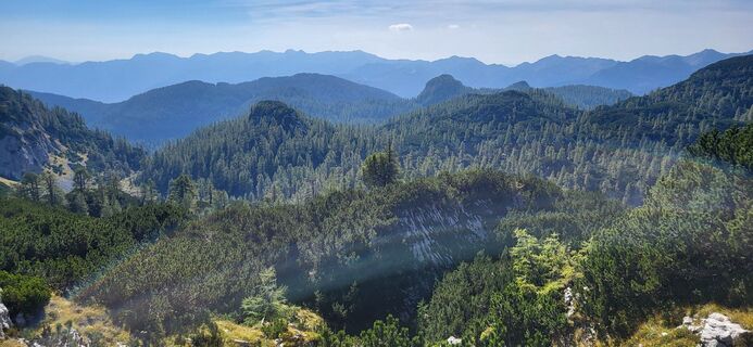 Fotografija s spletne strani Igor napast na poti