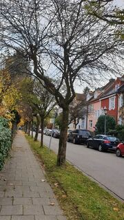 Estate of townhouses in the Kratzerstreet