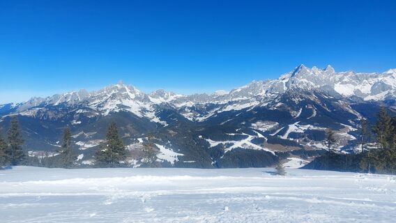 Fotografija s spletne strani Karin Svozil na poti