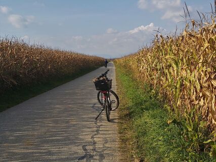 Raabtal-Radwege vor Gleisdorf in der Oststeiermark