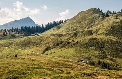KATwalk Region St. Johann in Tirol