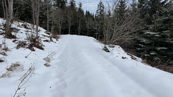 Foto von peter_oe entlang der Tour