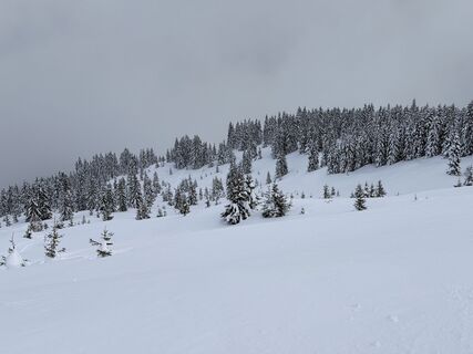 Photo de Guillaume Condat le long du parcours