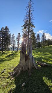 Photo de Klementina Gartner le long du parcours