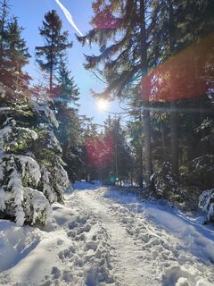 Photo from ReginaSt along the tour