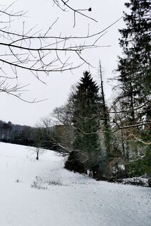 Fotografia z Chris Schöbben na trase