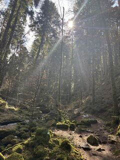 Foto von Michael Erdmann entlang der Tour
