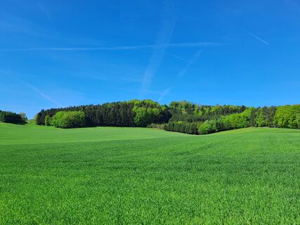 Fotografija s spletne strani greinerin na poti