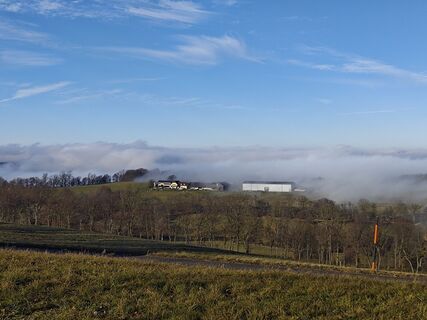 Foto de Sabine a lo largo del recorrido