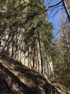 Foto von Andreas Vogel 1 entlang der Tour