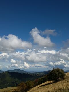 Photo de Aner le long du parcours