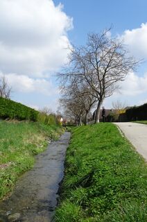 Langenlois, Niederösterreich/Österreich