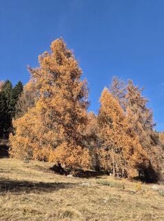 Foto von Thomi W entlang der Tour