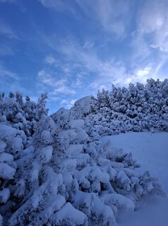 Foto de Günther Forsthuber a lo largo del recorrido