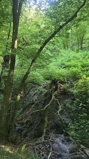 Photo de Dietmar Herrenschmidt le long du parcours