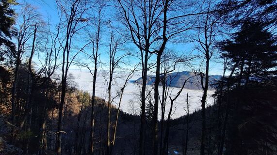 Photo de Regina Fleischmann le long du parcours