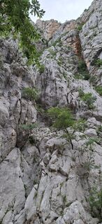 Foto von Gustl entlang der Tour