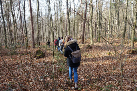 GeoTour Waldbronn