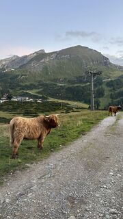 Photo de Justinas Semenas le long du parcours