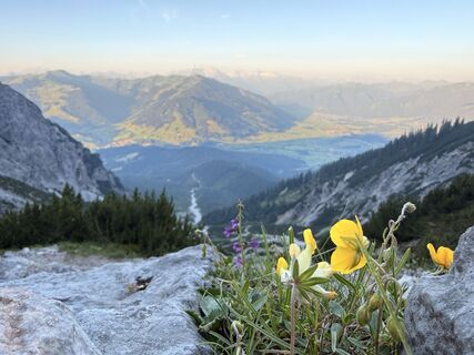 Foto von Natur_erleben_dg entlang der Tour