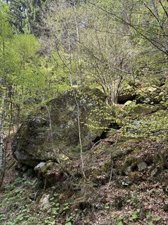 Photo de Paul Dollinger le long du parcours