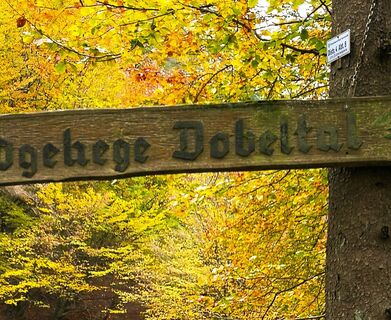 Wildgehege Dobeltal