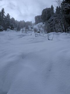 Photo de Paul Bridgland le long du parcours