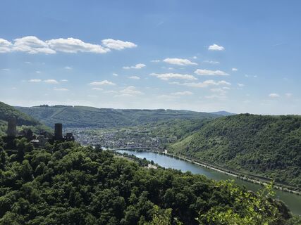 Zdjęcie z Frellie wzdłuż trasy