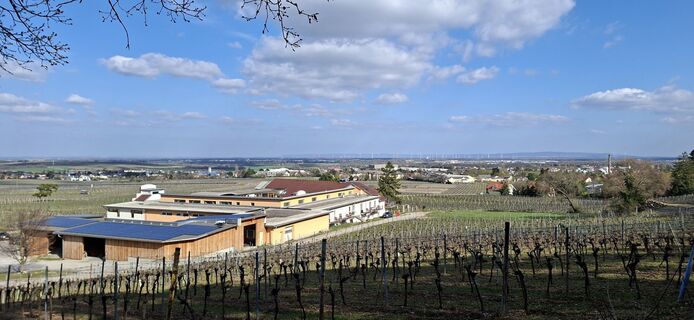 Fotografie z Walter Bauernfeind na trase