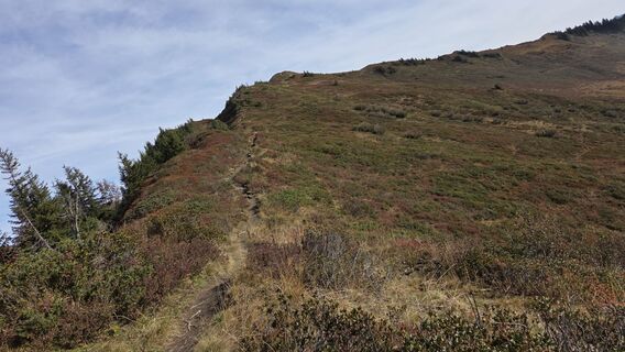 Foto von V Feurstein entlang der Tour