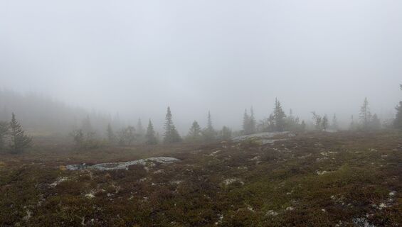 Foto fra Jako Koel undervejs på turen