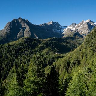 Hauerkogel