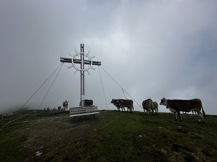 Photo de Paul Plattner le long du parcours