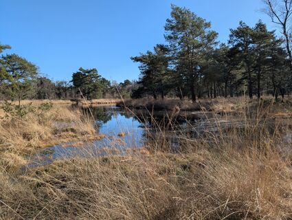 Photo de Matje Derks le long du parcours