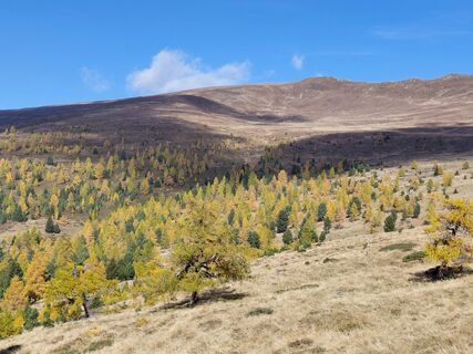Foto von Ugo Olivotto entlang der Tour