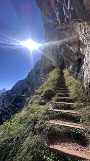 Foto von Mountain Cat ? ⛰️ entlang der Tour