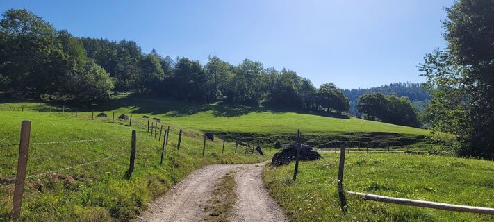 Foto von Nicky entlang der Tour