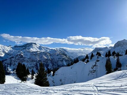 Fotografia z Andi72U na trase