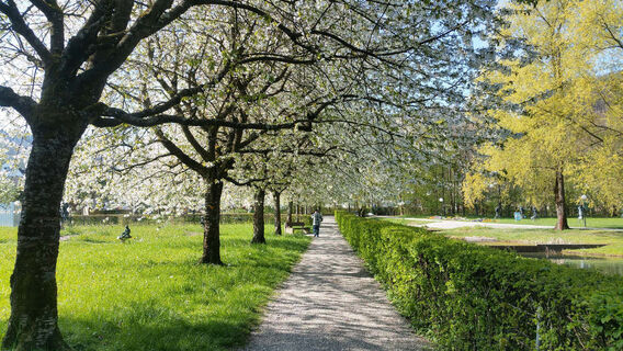 kurpark-bad-zurzach-weg