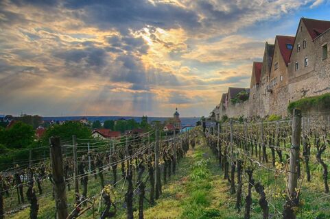 Lauffen am Neckar | HeilbronnerLand