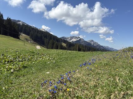Foto de Similaun a lo largo del recorrido